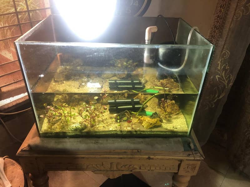 1.5-Foot Aquarium (6mm Glass) + 10W Power Filter for Sale – Lahore 4