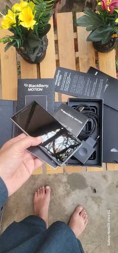 Blackberry motion pta official approved (with box)