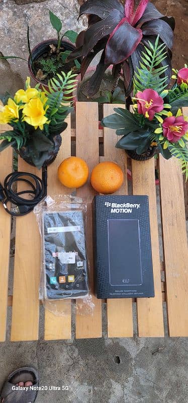 Blackberry motion pta official approved (with box) 7