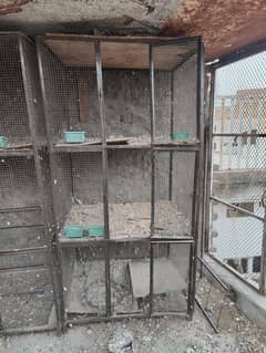 Pigeon cages ( pinjry )