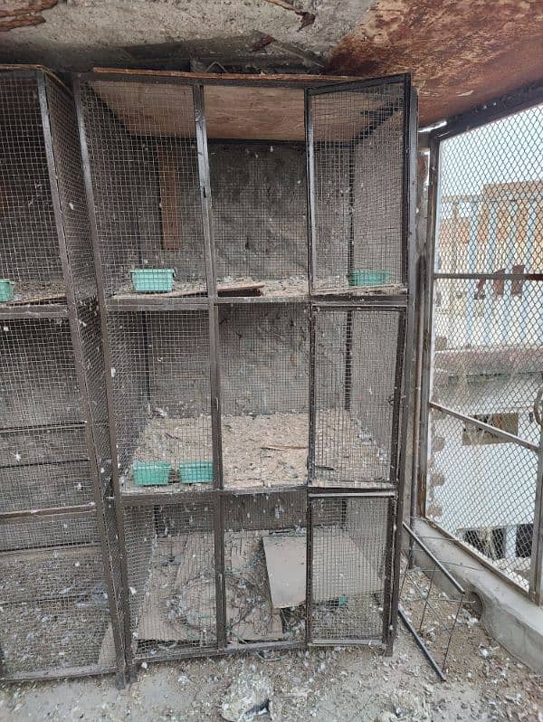 Pigeon cages ( pinjry ) 0