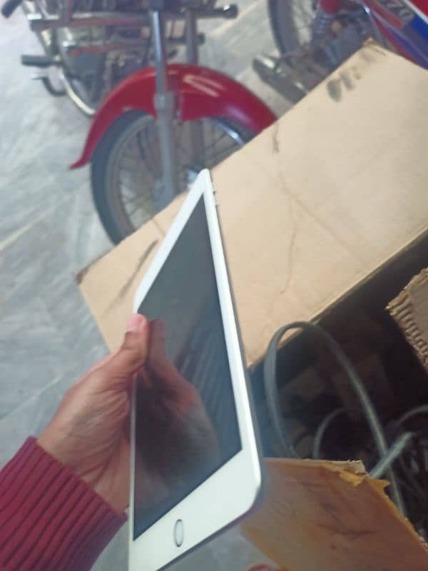 Buy iPad Mini 5 64GB at Best Prices | Used iPads for Sale on OLX 5