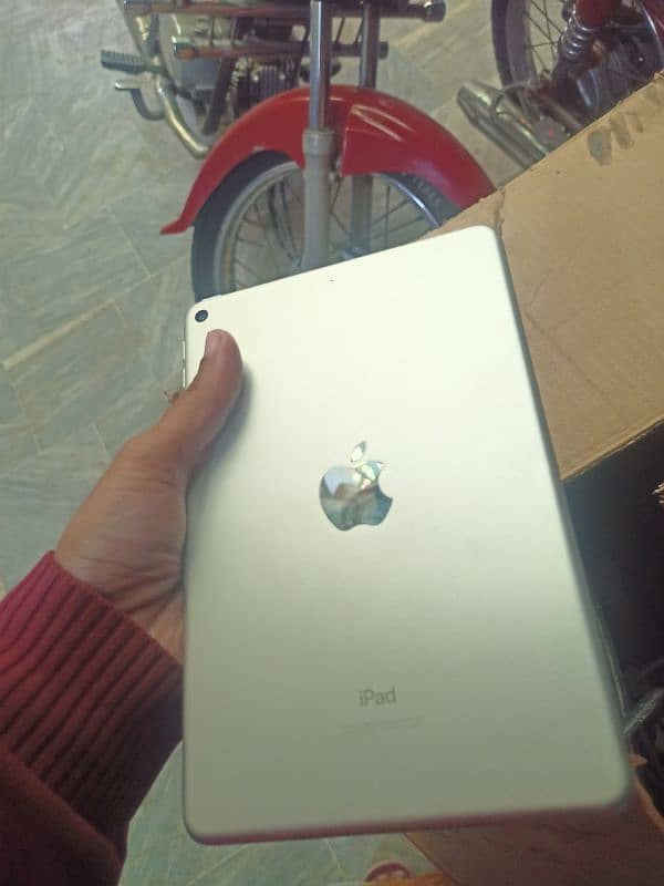 Buy iPad Mini 5 64GB at Best Prices | Used iPads for Sale on OLX 6