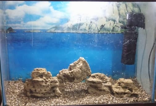 Aquarium natural Rock & Natural Sand 0