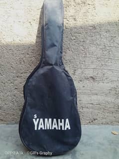 Guitar with bag and Capo