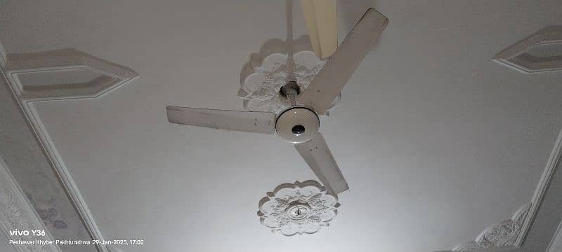 fan for sale 0