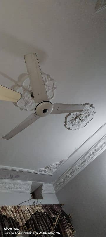 fan for sale 1