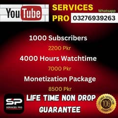 youtube monetization monetize watch time subscribers views