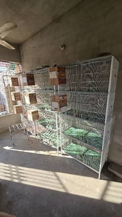 3 cages available , iron cage , cage for parrots