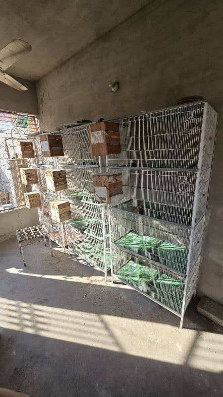 3 cages available , iron cage , cage for parrots 0