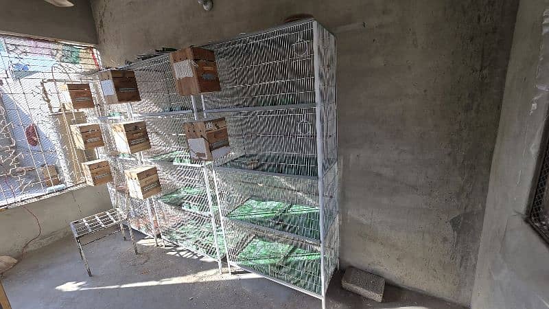 3 cages available , iron cage , cage for parrots 3