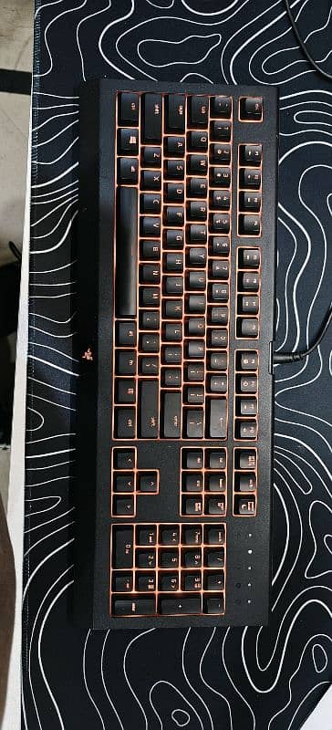 Razer Cynosa Chroma Mechanical Keyboard 0