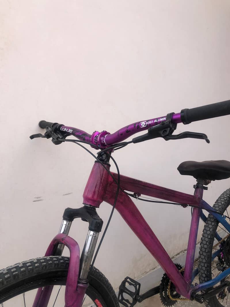 Custom build MTB with Imported parts 2