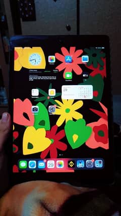 Ipad 7th Gen