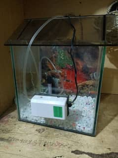 Fish Equrium Small with Air Pumps just 5 days used