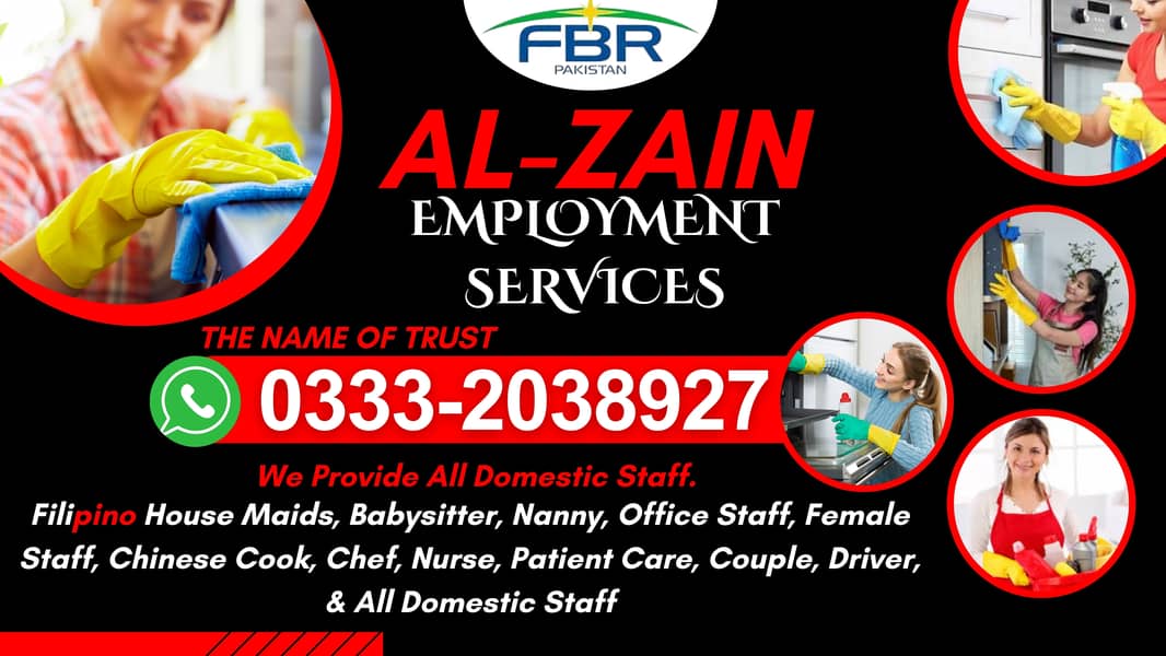 Baby sitter Cook Nanny Nurse Patient Care Couple Driver Maid Available 0