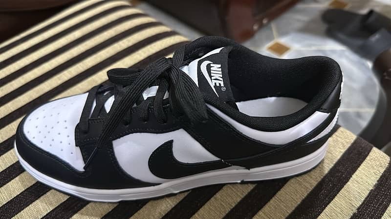 Nike Panda 1