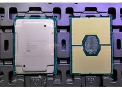 xeon Gold processors 20core 40thread