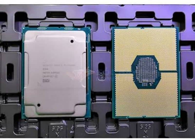 xeon Gold processors 20core 40thread 1