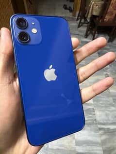 iphone 12 mini official pta approved