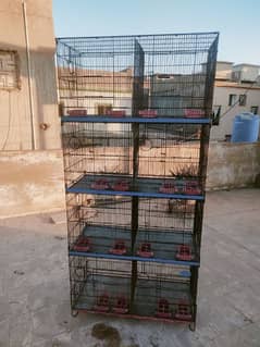 cage pinjra 1.5/2 need n clean 5 month usz only