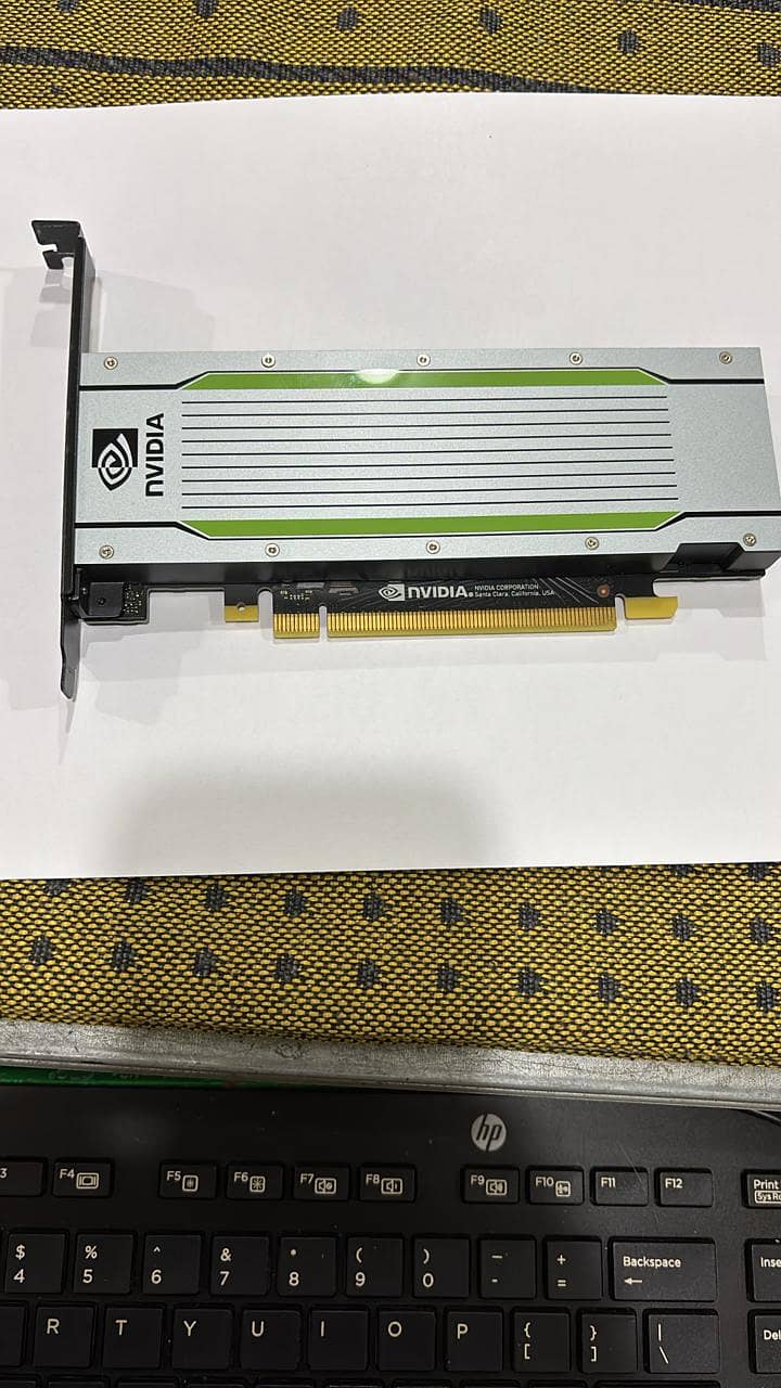 NVIDIA T4 GPU 0