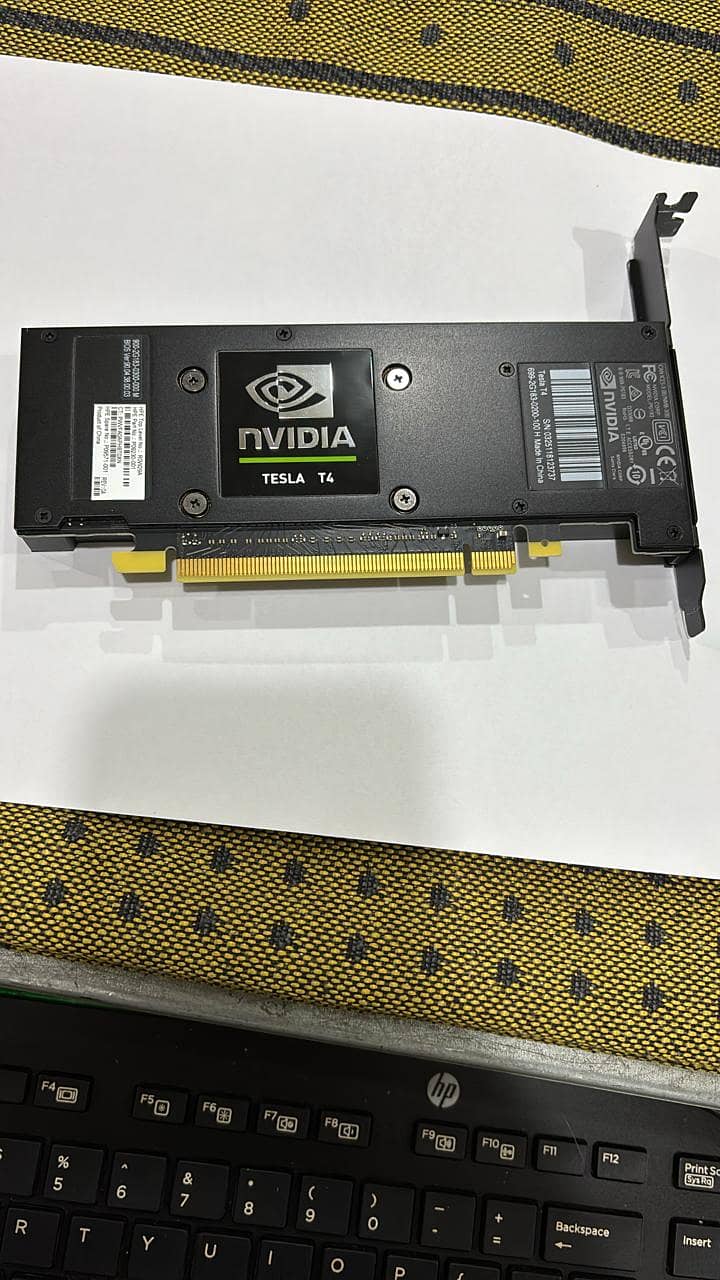 NVIDIA T4 GPU 1