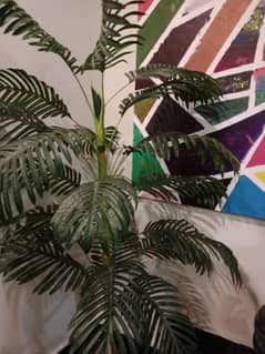 Auriga palm artificial 5 feet in excellent condition and other items