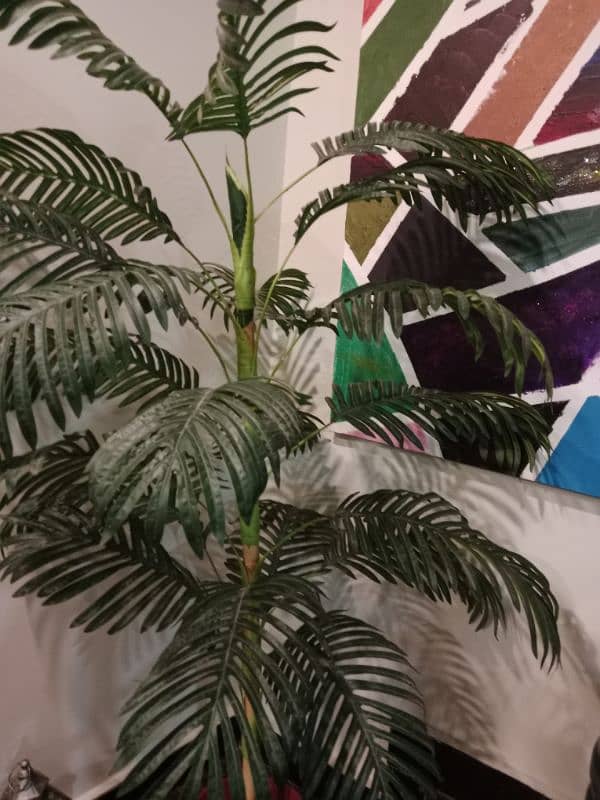 Auriga palm artificial 5 feet in excellent condition 1