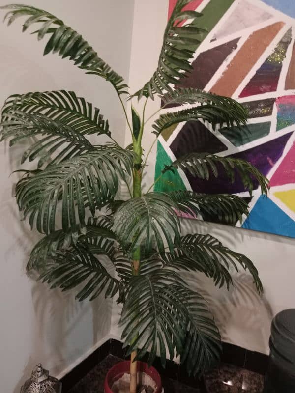 Auriga palm artificial 5 feet in excellent condition 2