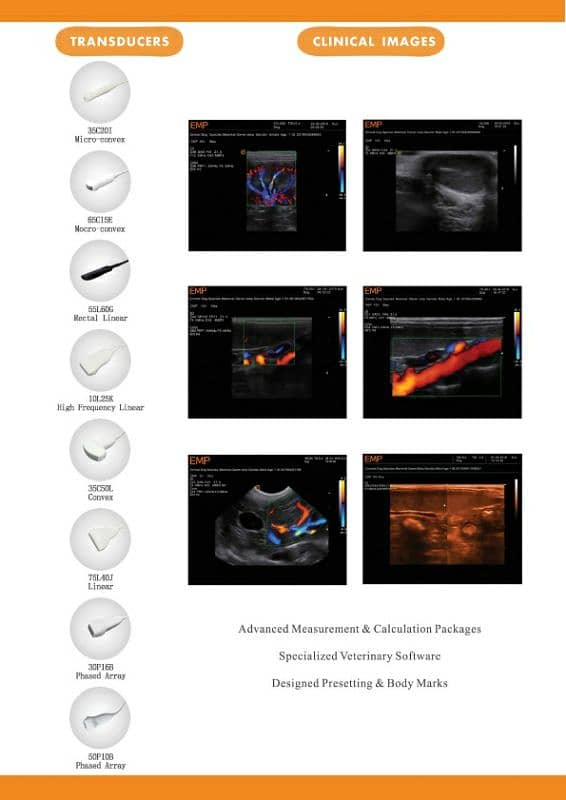 Nyro10 Bestever Veterinary Ultrasound machines wholsale price Pakistan 10