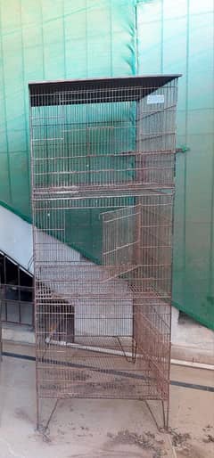 cage for birds