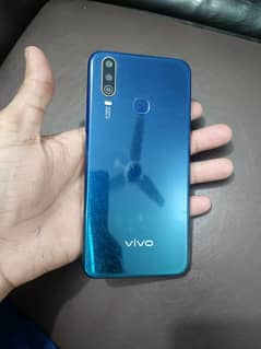 vivo