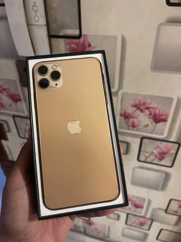 iphone 11 por max Pta approve Golden colour 3