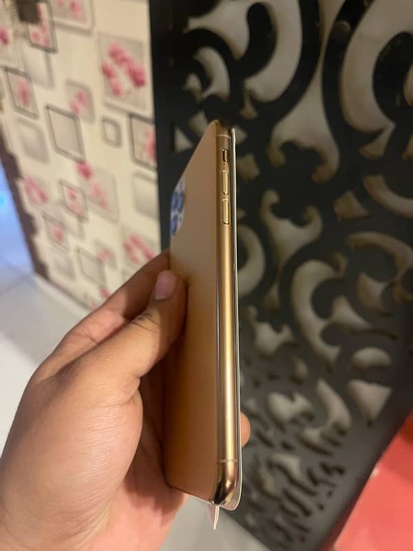 iphone 11 por max Pta approve Golden colour 6