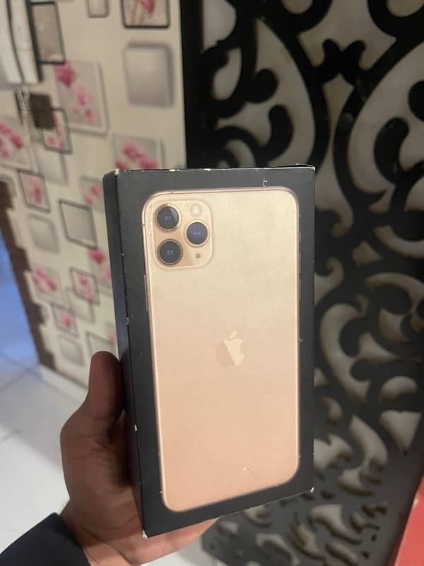 iphone 11 por max Pta approve Golden colour 8