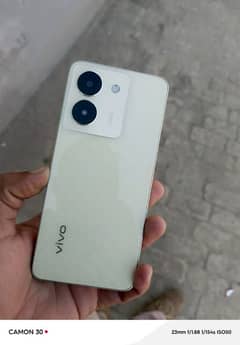 vivo