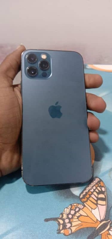 Iphone 12 pro 128 sim time 6 month available 1