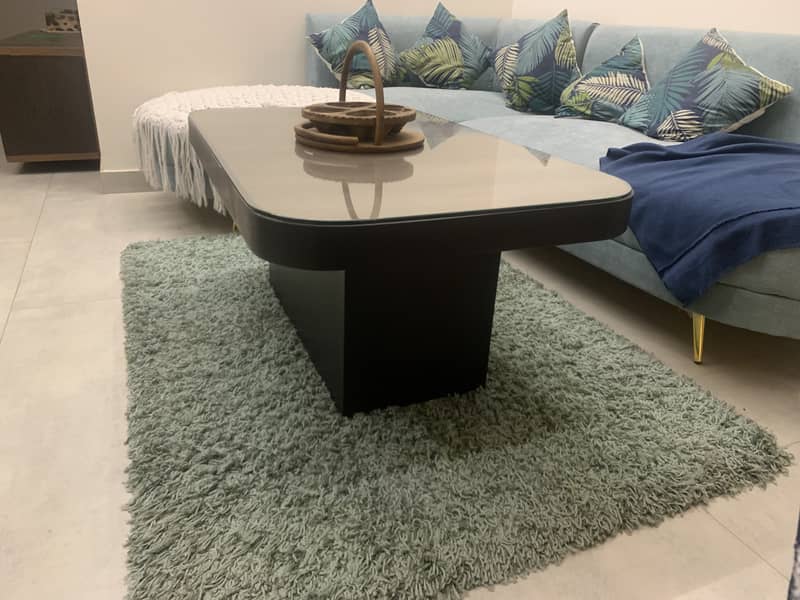 Center table/Coffee table 2