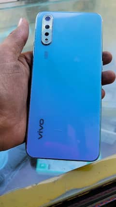 vivo