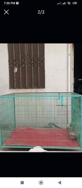 parrot cage 1