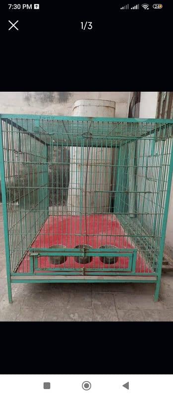 parrot cage 2