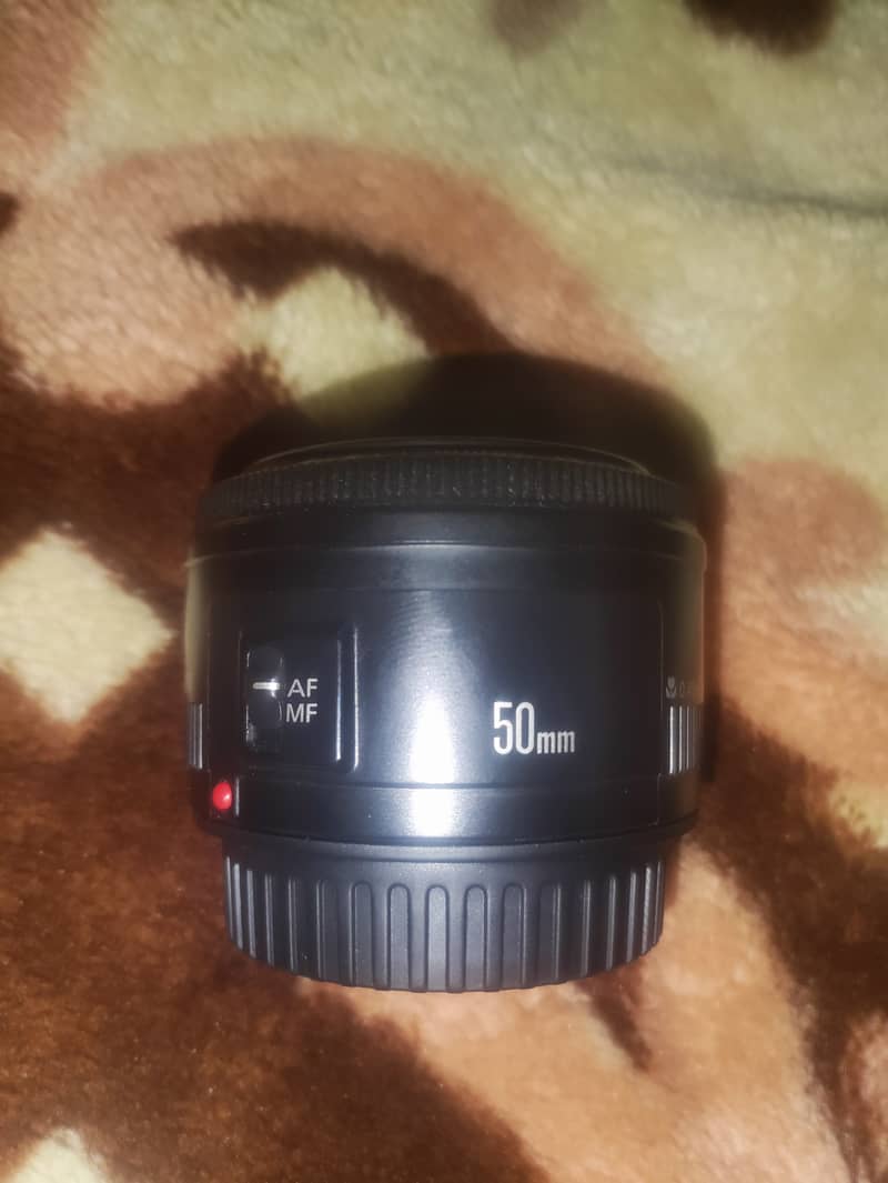 6D Body 50mm lens 2