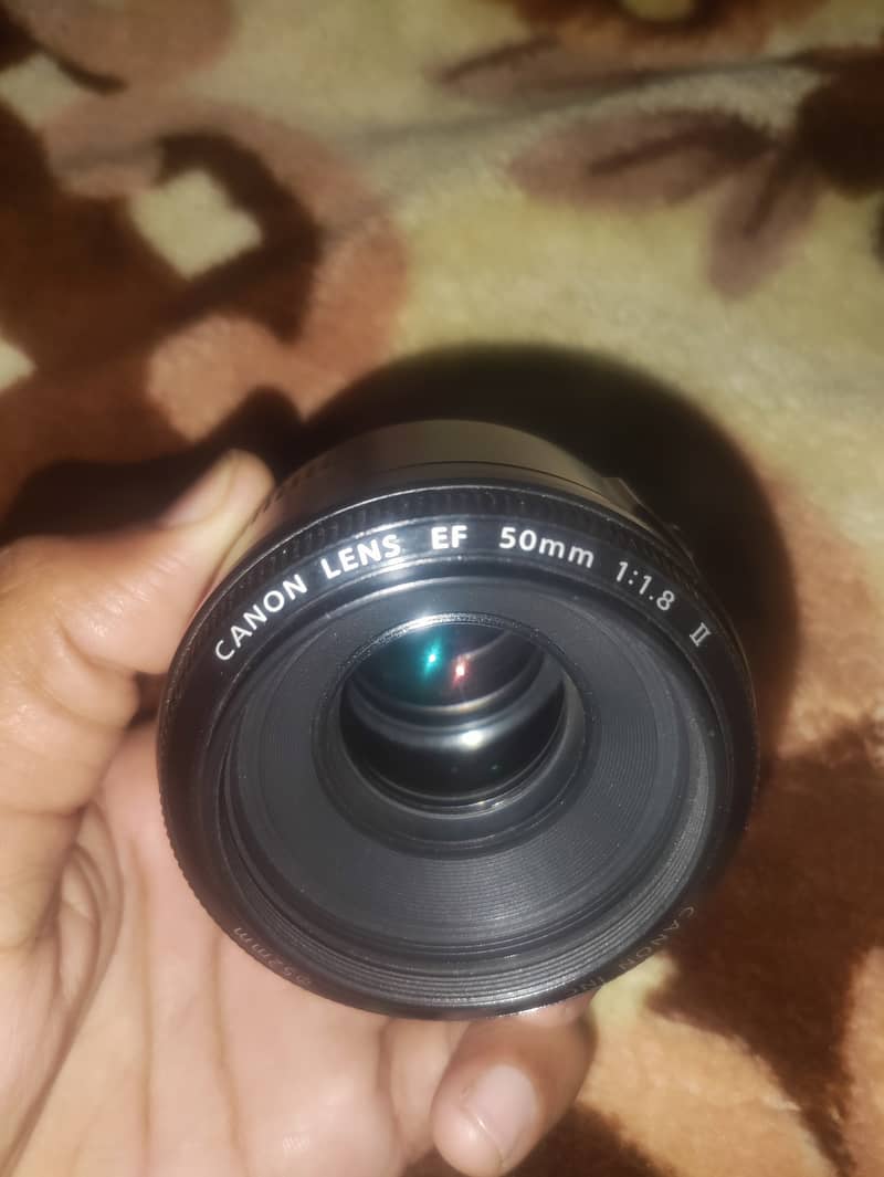 6D Body 50mm lens 3