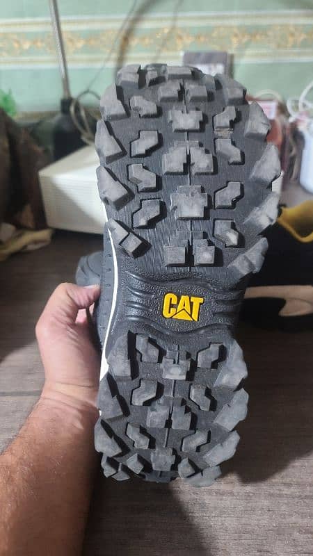 CAT shoes for sale 1