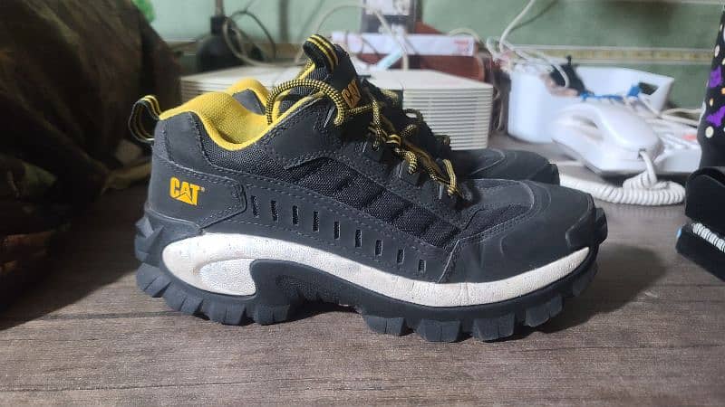 CAT shoes for sale 2