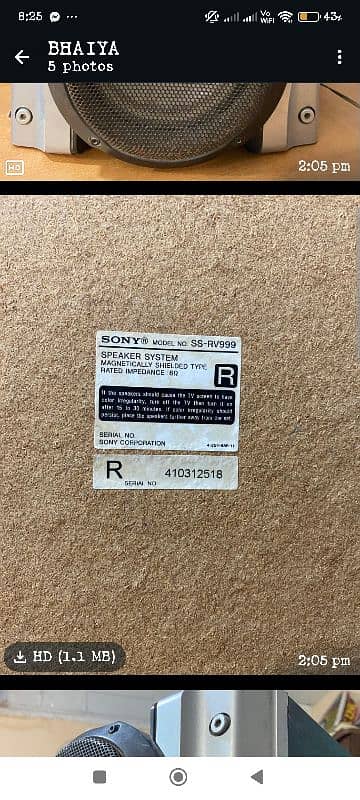 Sony HiFi Speaker's 1