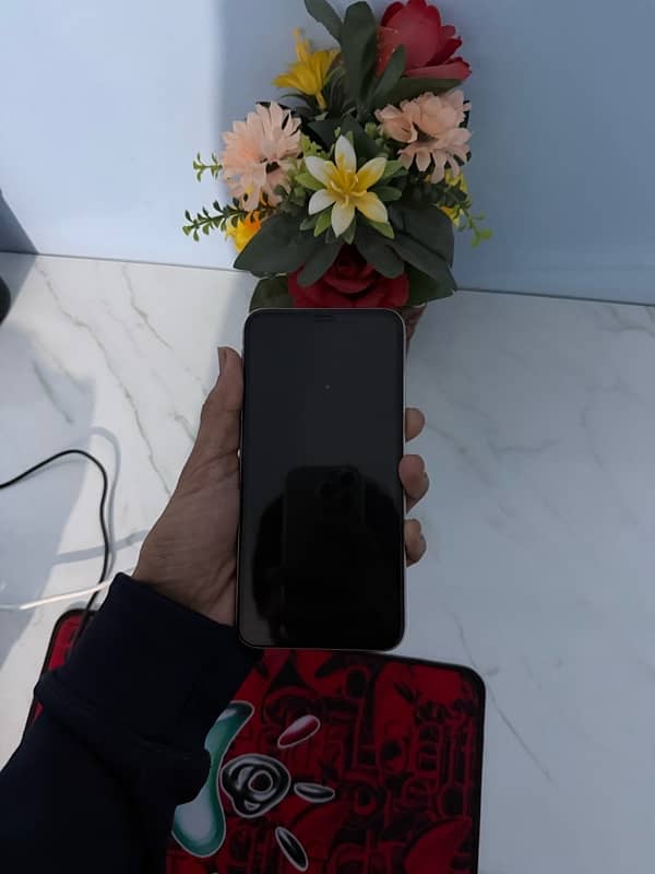 iPhone xsmax 64gb PTA Approved 4