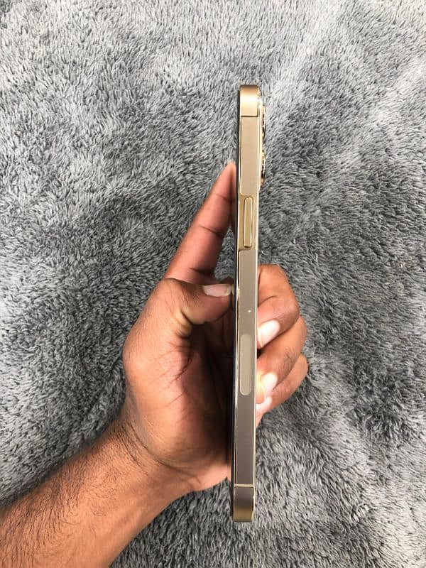 iPhone 12 Pro Max 256GB PTA Approved 1