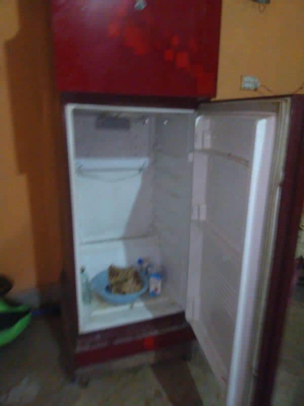 fridge 4